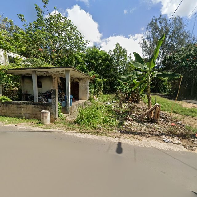Reporte ciudadano de estorbo público en C9CV+2CC Sabana Hoyos, Arecibo, Puerto Rico, Arecibo