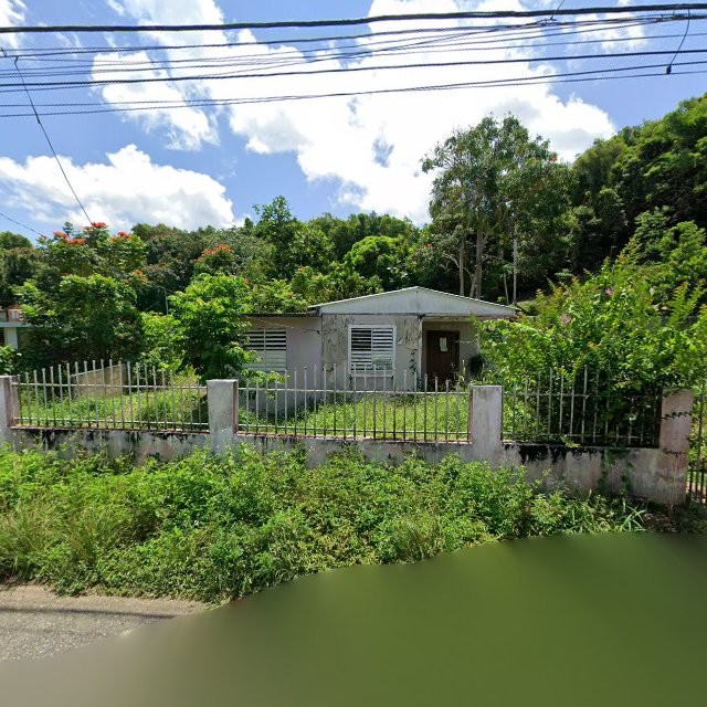 Reporte ciudadano de estorbo público en C9GQ+94H Sabana Hoyos, Arecibo, Puerto Rico, Arecibo