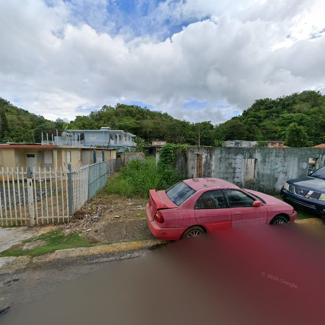 Reporte ciudadano de estorbo público en CF58+49R Manatí, Puerto Rico, Manatí