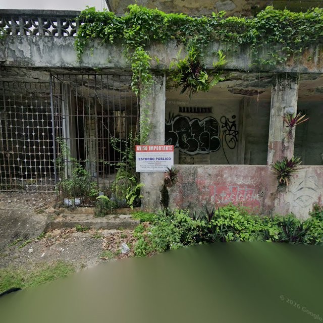 Reporte ciudadano de estorbo público en CG98+WGC Manatí, Puerto Rico, Manatí