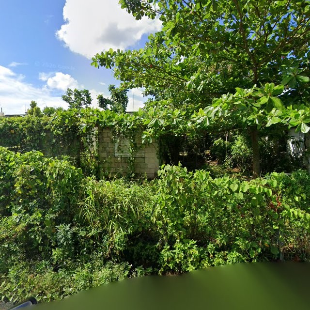 Reporte ciudadano de estorbo público en CM8G+G47 Vega Alta, Puerto Rico, Vega Alta