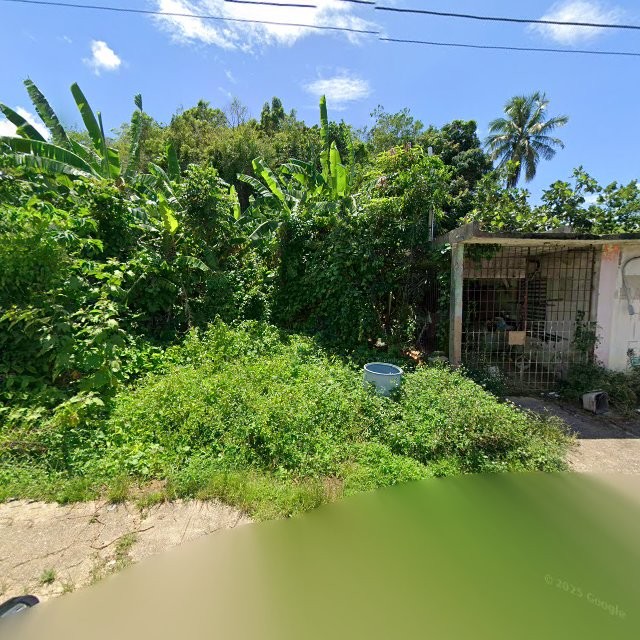 Reporte ciudadano de estorbo público en CJ5J+XJ4 Miranda, Vega Baja, Puerto Rico, Vega Baja