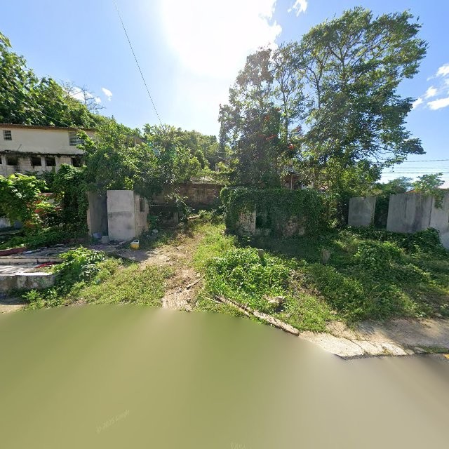 Reporte ciudadano de estorbo público en CM49+RHG Maricao, Vega Alta, Puerto Rico, Vega Alta