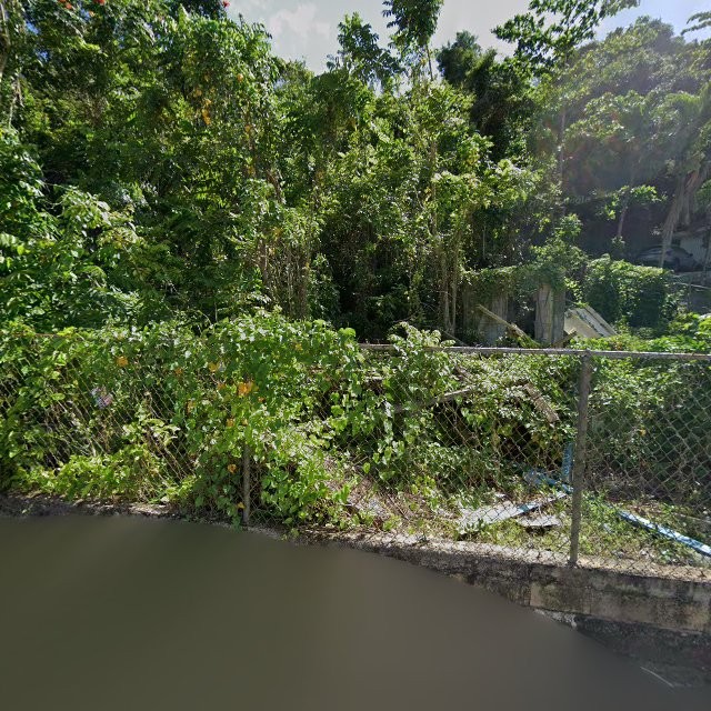 Reporte ciudadano de estorbo público en CM49+7JP Maricao, Vega Alta, Puerto Rico, Vega Alta