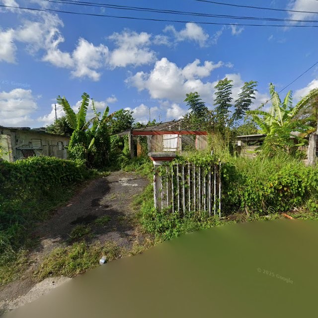 Reporte ciudadano de estorbo público en CQG7+9R7 Villa Quintero, Toa Baja, Puerto Rico, Toa Baja