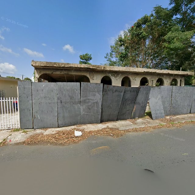 Reporte ciudadano de estorbo público en CRGG+C57 Sabana Seca, Toa Baja, Puerto Rico, Toa Baja