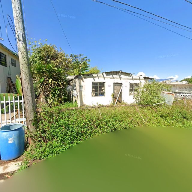 Reporte ciudadano de estorbo público en C5J7+2P7 Vieques, Loíza, Puerto Rico, Loíza