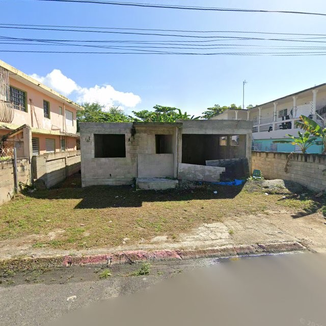 Reporte ciudadano de estorbo público en C5G8+9VW Vieques, Loíza, Puerto Rico, Loíza