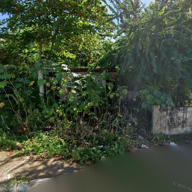 Reporte ciudadano de estorbo público en C5G8+C98 Vieques, Loíza, Puerto Rico, Loíza