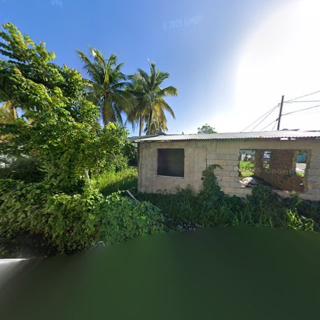 Reporte ciudadano de estorbo público en C585+RVV Vieques, Loíza, Puerto Rico, Loíza