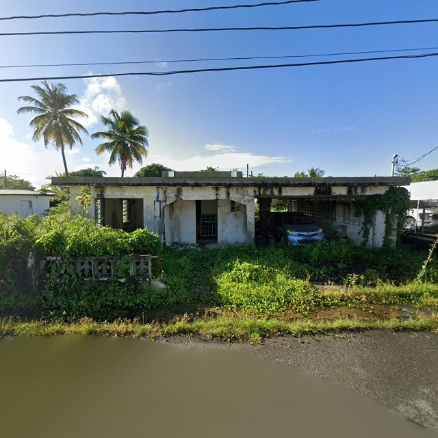 Reporte ciudadano de estorbo público en C585+H7W Vieques, Loíza, Puerto Rico, Loíza