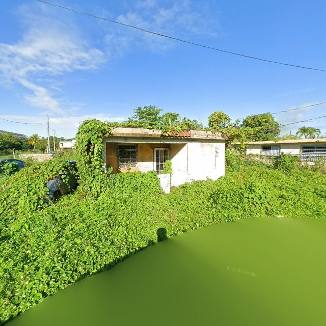 Reporte ciudadano de estorbo público en C585+289 Vieques, Loíza, Puerto Rico, Loíza