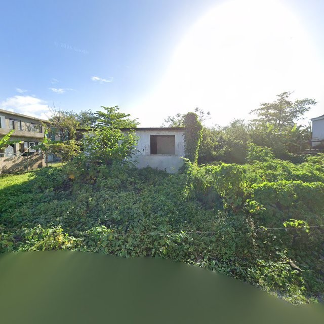 Reporte ciudadano de estorbo público en C586+427 Vieques, Loíza, Puerto Rico, Loíza