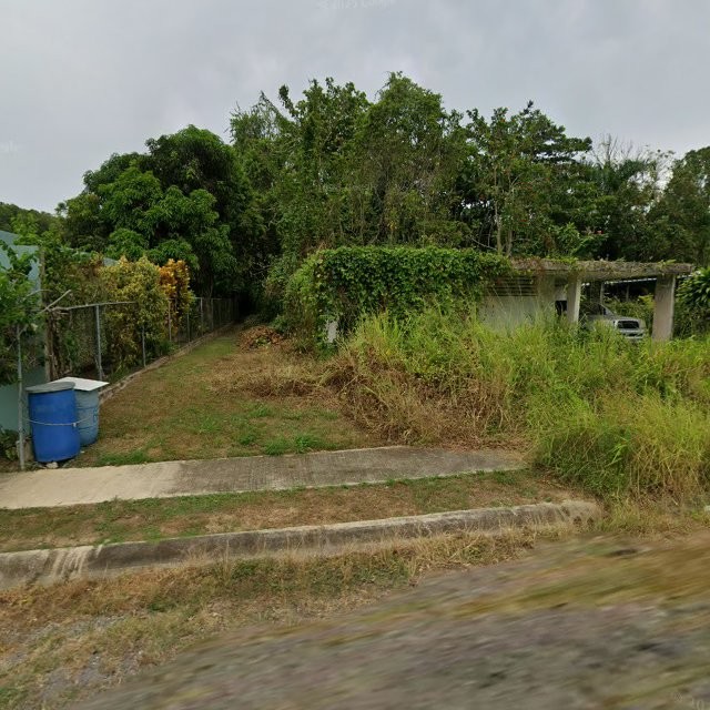 Reporte ciudadano de estorbo público en 9FV4+378 Pajonal, Florida, Puerto Rico, Florida