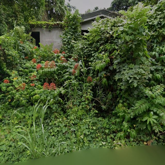 Reporte ciudadano de estorbo público en 9FP7+54C Florida, Puerto Rico, Florida