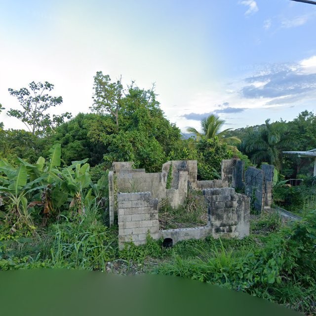 Reporte ciudadano de estorbo público en 9PRR+4P2 Rio Lajas, Dorado, Puerto Rico, Dorado