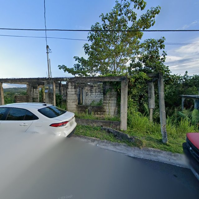 Reporte ciudadano de estorbo público en 9PQQ+VX8 Rio Lajas, Dorado, Puerto Rico, Dorado