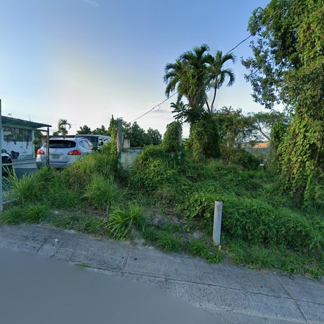 Reporte ciudadano de estorbo público en 9PRR+74F Rio Lajas, Dorado, Puerto Rico, Dorado