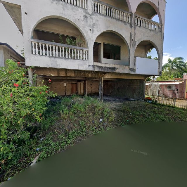 Reporte ciudadano de estorbo público en 9PMW+9G8 Toa Alta, Puerto Rico, Toa Alta