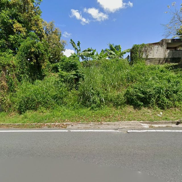 Reporte ciudadano de estorbo público en 9QHH+2CW Pajaros, Toa Alta, Puerto Rico, Toa Alta