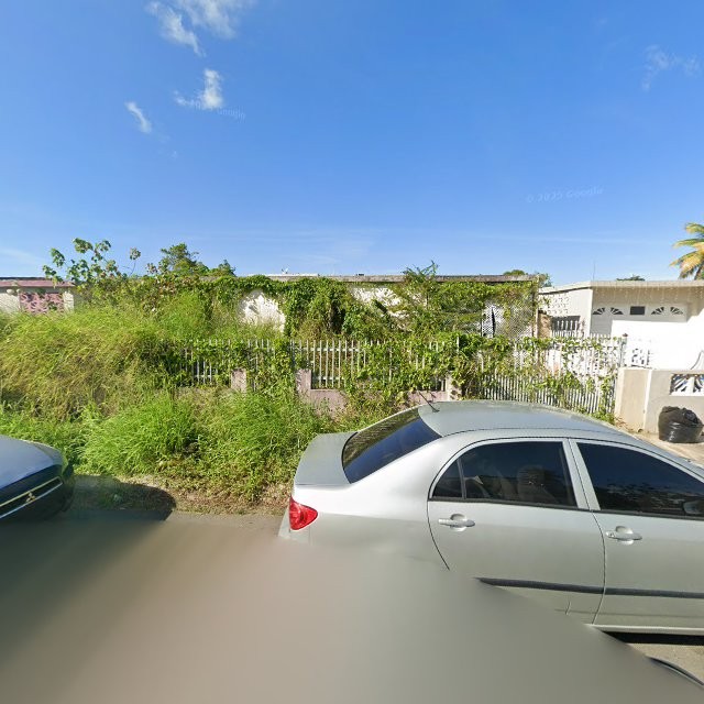 Reporte ciudadano de estorbo público en C22H+5RM Carolina, Puerto Rico, Carolina