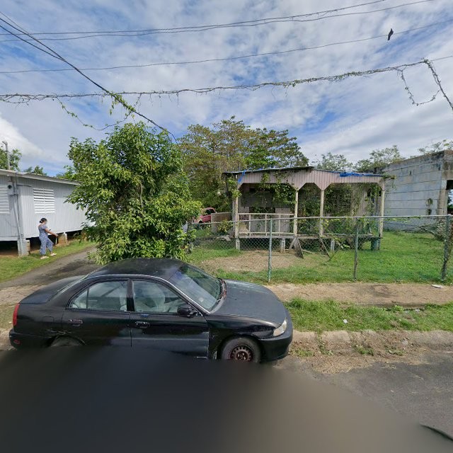 Reporte ciudadano de estorbo público en 94VC+Q6F San Isidro, Canóvanas, Puerto Rico, Canóvanas