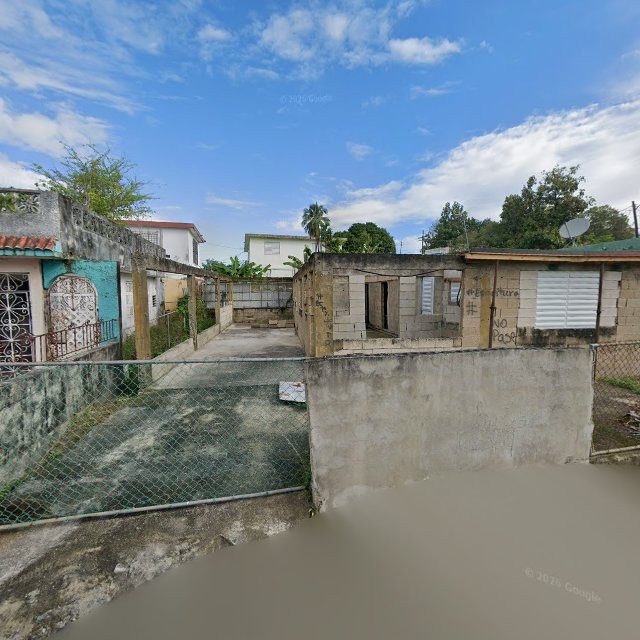 Reporte ciudadano de estorbo público en 94Q7+8CM San Isidro, Canóvanas, Puerto Rico, Canóvanas