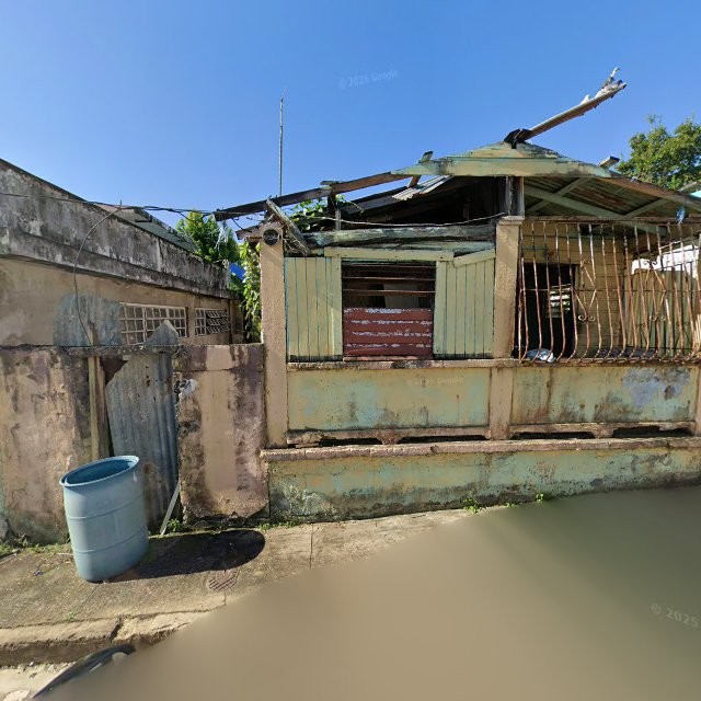 Reporte ciudadano de estorbo público en 95JC+CGJ Río Grande, Puerto Rico, Río Grande