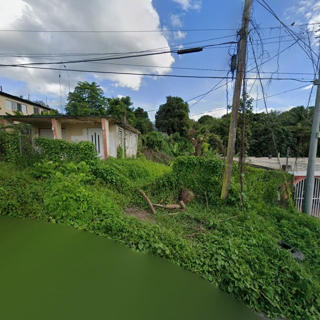 Reporte ciudadano de estorbo público en 96H7+JPH Hato Candal, Río Grande, Puerto Rico, Río Grande