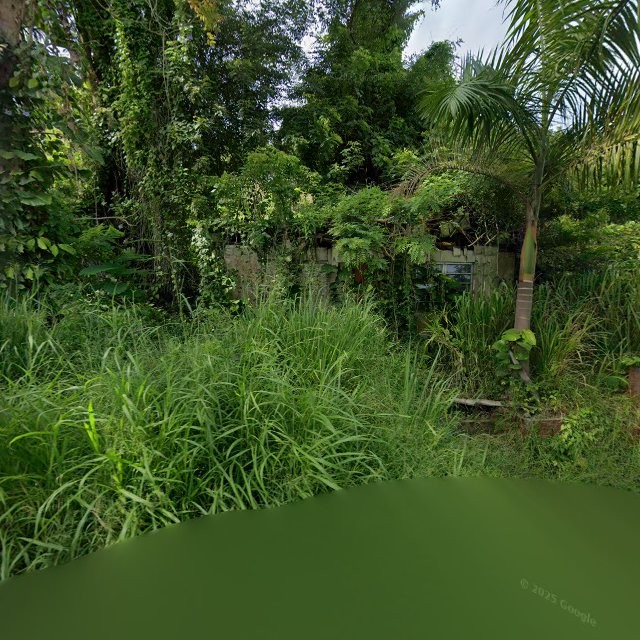 Reporte ciudadano de estorbo público en 9P5P+X74 Rincón, Puerto Rico, Rincón