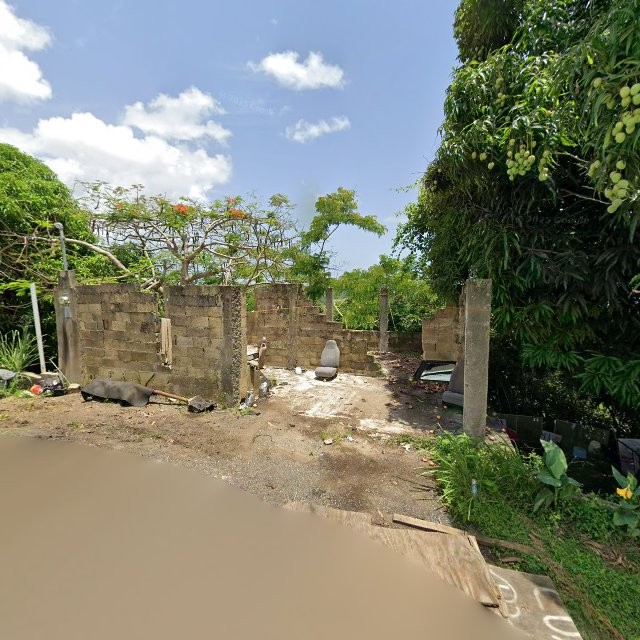 Reporte ciudadano de estorbo público en 9Q5C+252 Rincón, Puerto Rico, Rincón