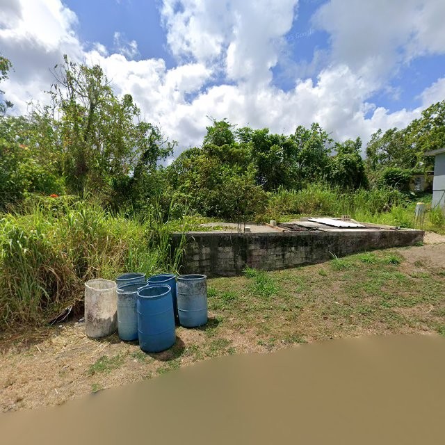 Reporte ciudadano de estorbo público en 9J73+4FH Franquez, Morovis, Puerto Rico, Morovis