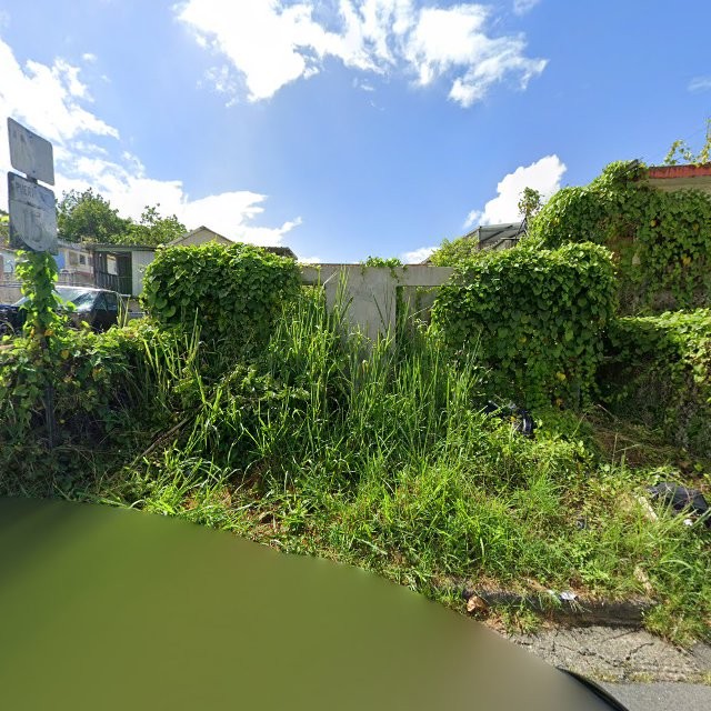 Reporte ciudadano de estorbo público en 8MVM+J88 Corozal, Puerto Rico, Corozal