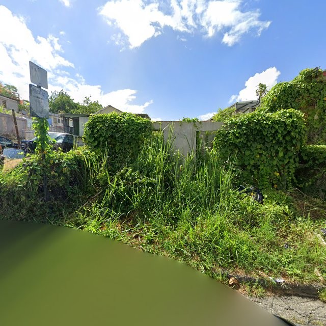 Reporte ciudadano de estorbo público en 8MVM+J7W Corozal, Puerto Rico, Corozal