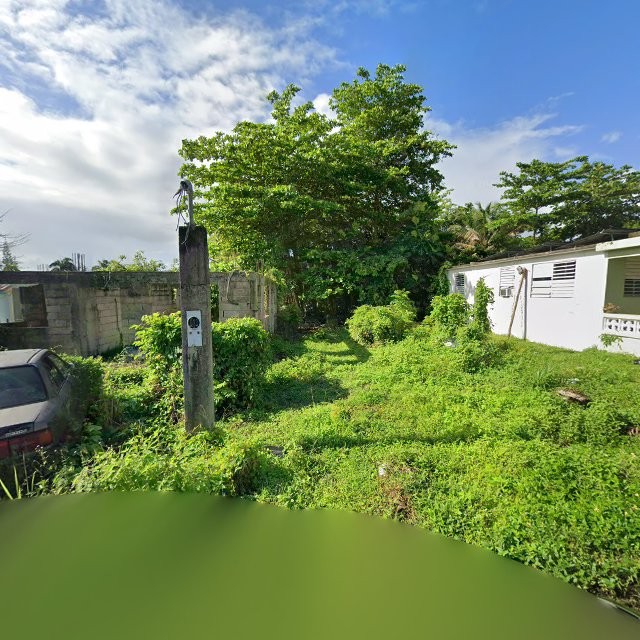 Reporte ciudadano de estorbo público en 9P8V+236 Galateo, Toa Alta, Puerto Rico, Toa Alta