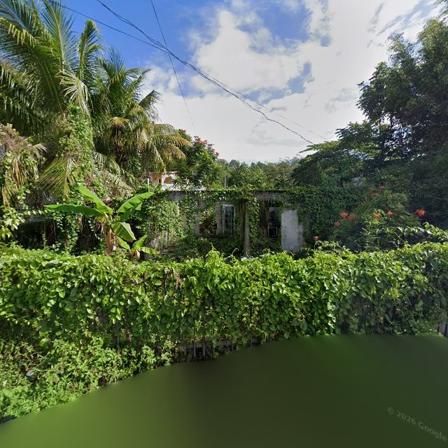 Reporte ciudadano de estorbo público en 9P7Q+97F Galateo, Toa Alta, Puerto Rico, Toa Alta