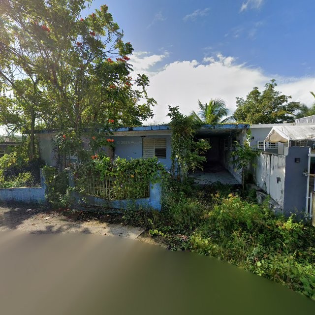 Reporte ciudadano de estorbo público en 9P7V+GCX Galateo, Toa Alta, Puerto Rico, Toa Alta