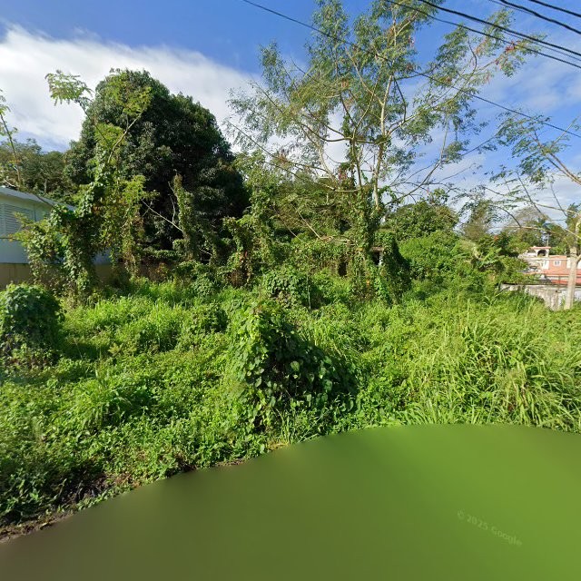 Reporte ciudadano de estorbo público en 9P4M+C38 Galateo, Toa Alta, Puerto Rico, Toa Alta