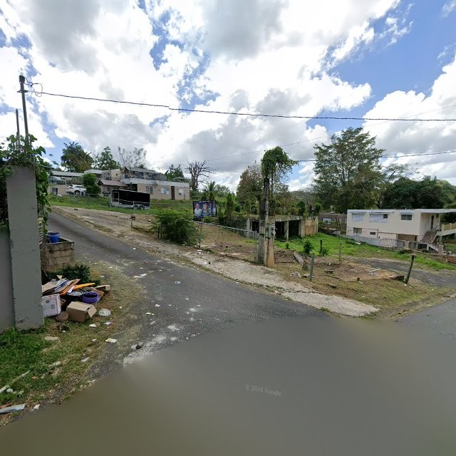 Reporte ciudadano de estorbo público en 8PVX+947 H. Rivera Colon, Toa Alta, Puerto Rico, Toa Alta