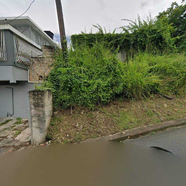 Reporte ciudadano de estorbo público en 8XV7+9H5 San Juan, Puerto Rico, Trujillo Alto