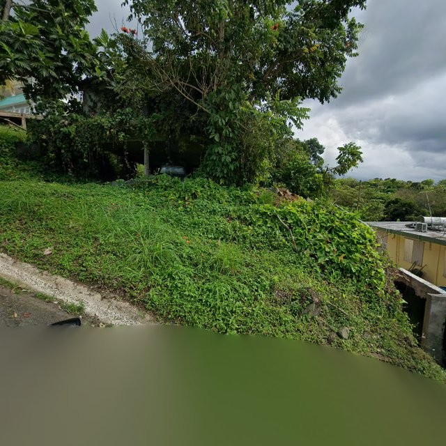 Reporte ciudadano de estorbo público en 944G+G82 La Dolores, Río Grande, Puerto Rico, Río Grande