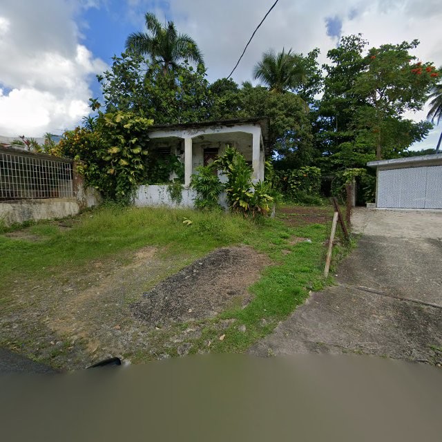 Reporte ciudadano de estorbo público en 84XJ+RV7 La Dolores, Río Grande, Puerto Rico, Río Grande