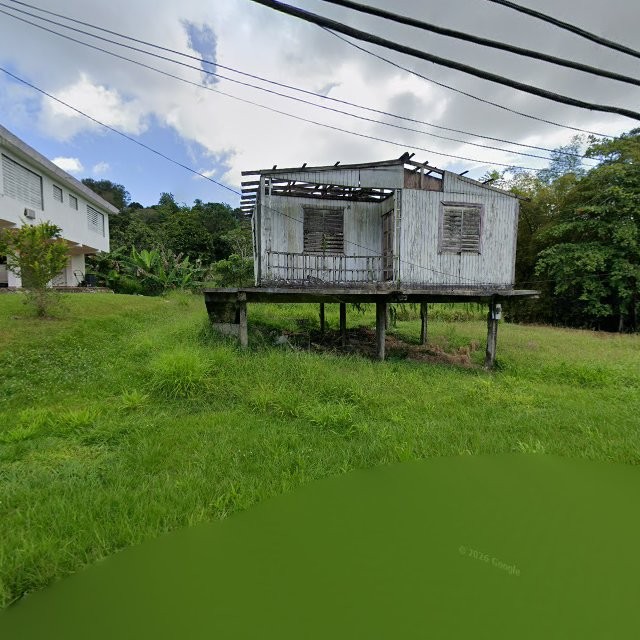 Reporte ciudadano de estorbo público en 84XM+JGC La Dolores, Río Grande, Puerto Rico, Río Grande