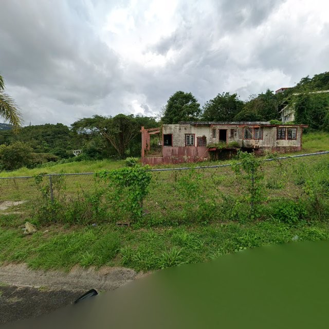 Reporte ciudadano de estorbo público en 84WJ+MFF La Dolores, Río Grande, Puerto Rico, Río Grande