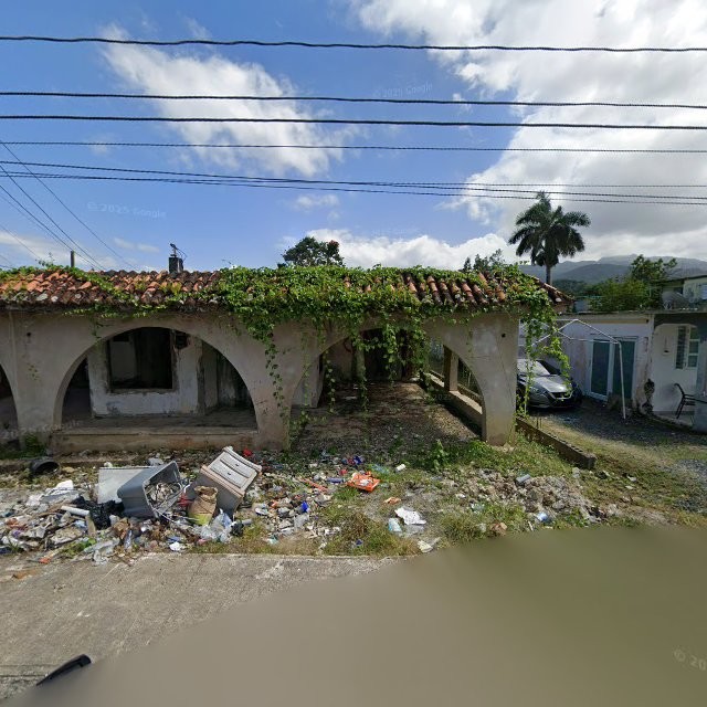 Reporte ciudadano de estorbo público en 96CH+874 Palmer, Río Grande, Puerto Rico, Río Grande
