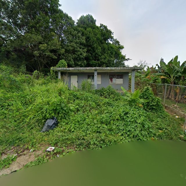 Reporte ciudadano de estorbo público en 9835+J5H Ramos, Luquillo, Puerto Rico, Luquillo