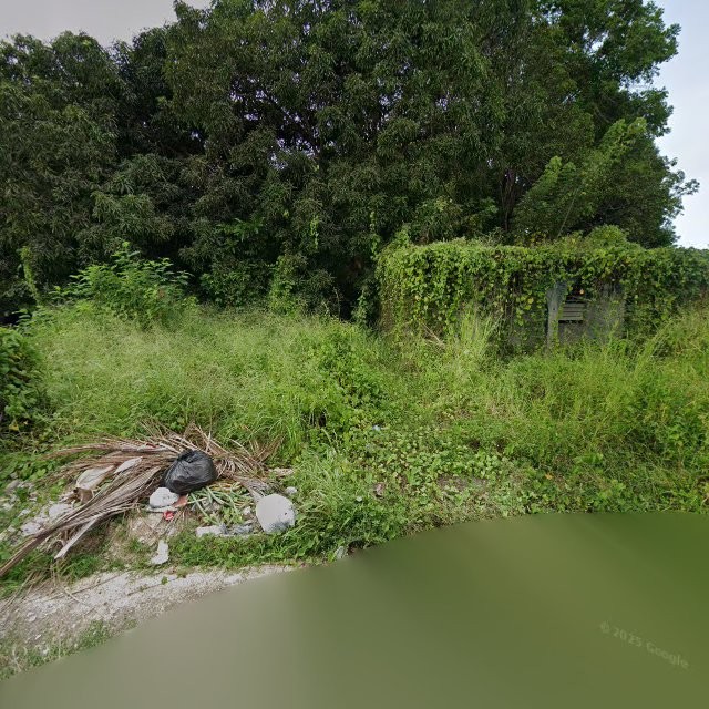 Reporte ciudadano de estorbo público en 9835+J4P Ramos, Luquillo, Puerto Rico, Luquillo