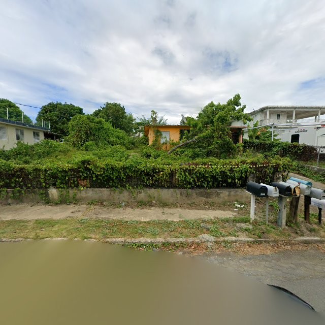 Reporte ciudadano de estorbo público en 999F+QQM Las Croabas, Fajardo, Puerto Rico, Fajardo