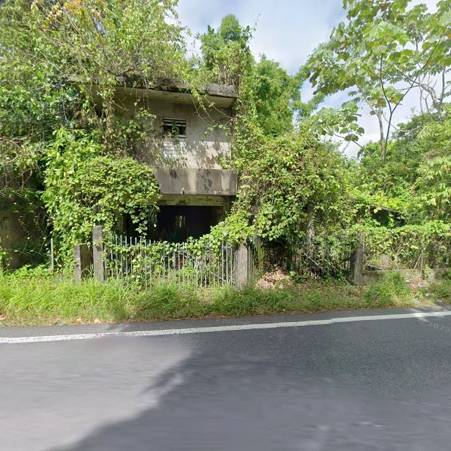 Reporte ciudadano de estorbo público en 8396+CCR Juncal, San Sebastián, Puerto Rico, San Sebastián