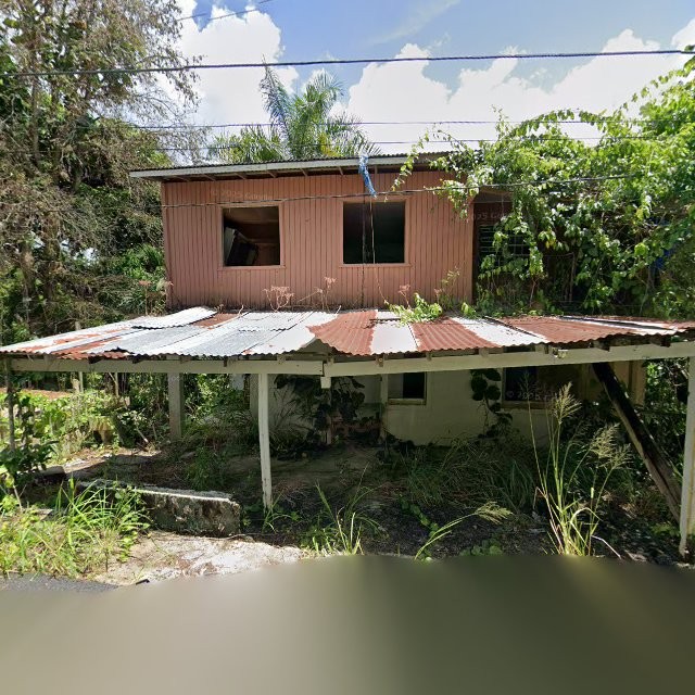 Reporte ciudadano de estorbo público en 8M93+538 Padilla, Corozal, Puerto Rico, Corozal